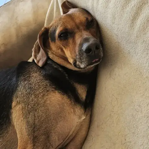Mako photo 3