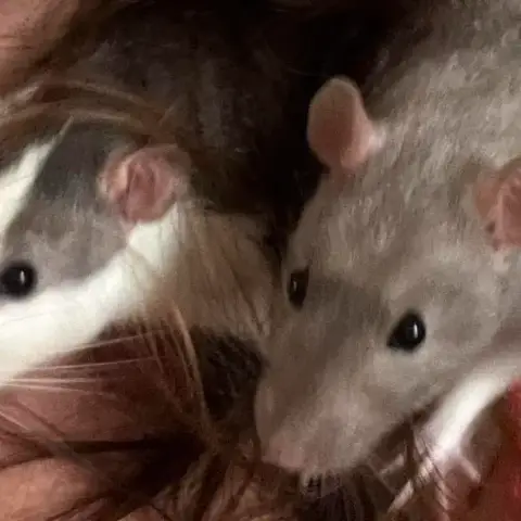 Beans Et Molly photo 3