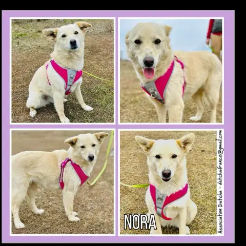 Nora