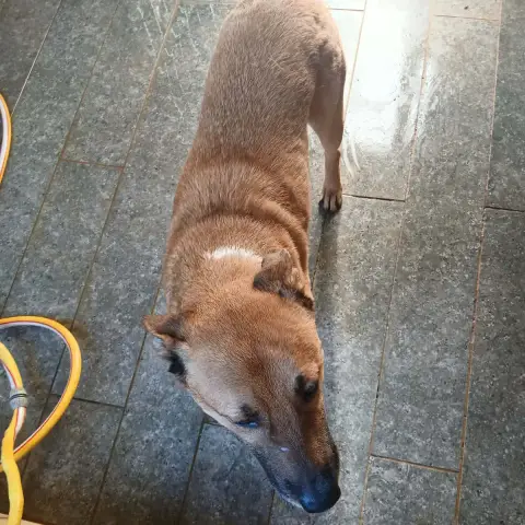 Douglas photo 3