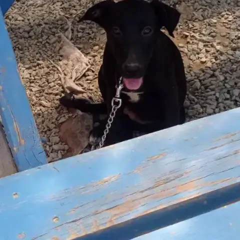 Karma photo 2