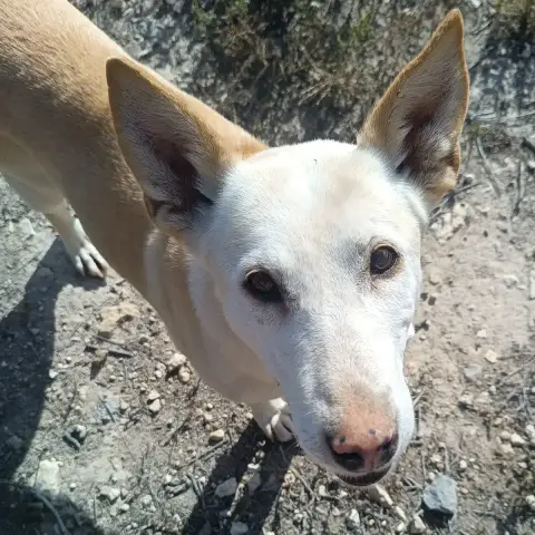 Marisol photo 3