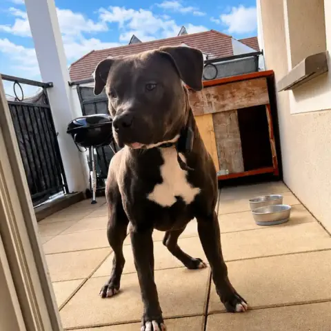 Snoop