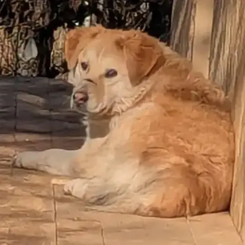 Bella photo 3