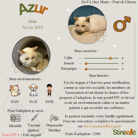 Azur