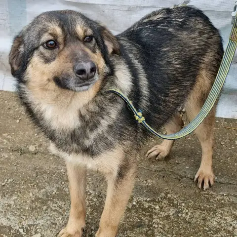 Lilou