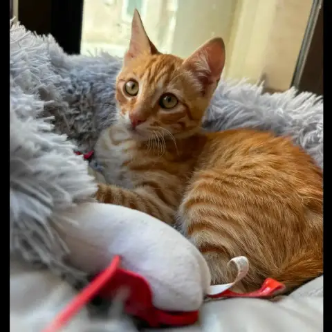 Balou Et Malou photo 3