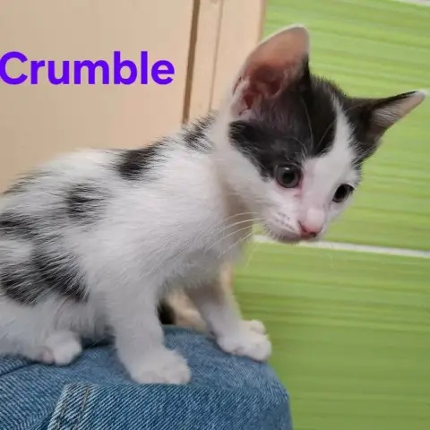Crumble