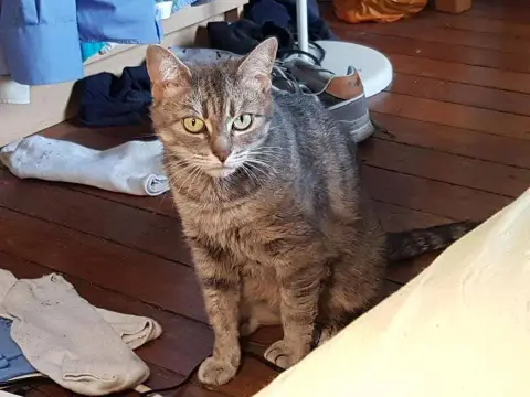 Molly