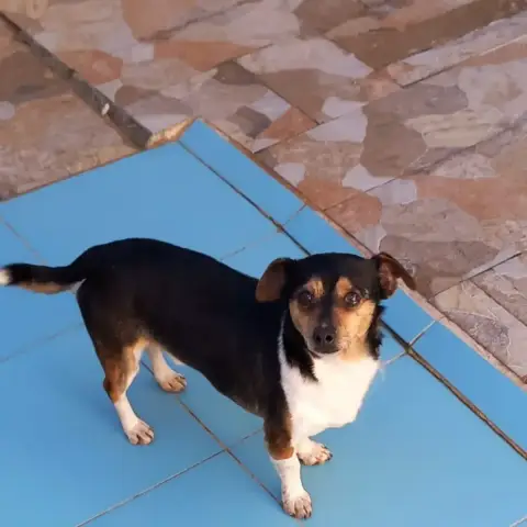 Mateo
