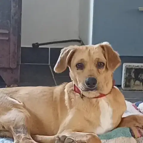 Rio