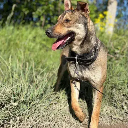 Max