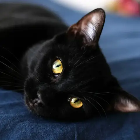Aruki photo 2
