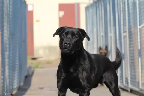 Rocky photo 3
