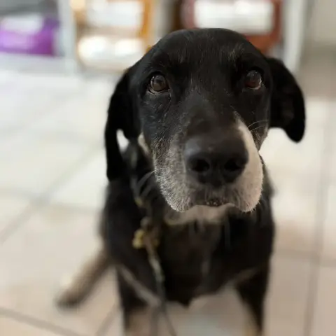 Roberto photo 3