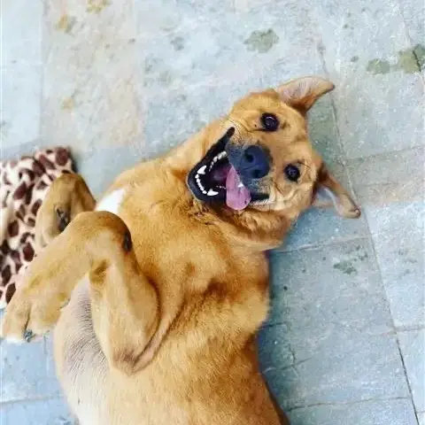 Zeus photo 3