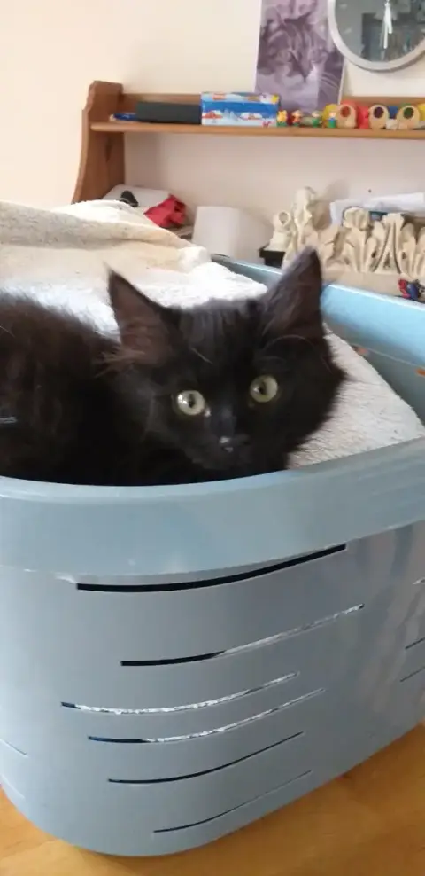 Freya