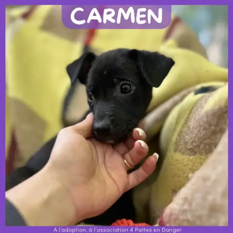 Carmen