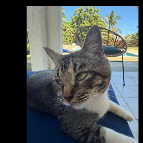 Carlos