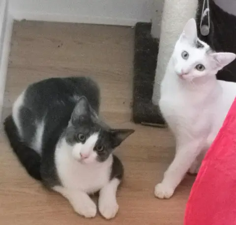 Yuki & Kaito