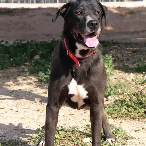 Osa photo 3