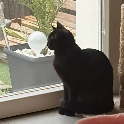 Luna photo 3