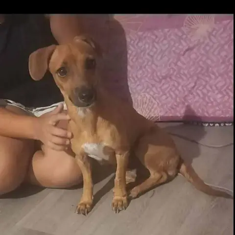 Pétra