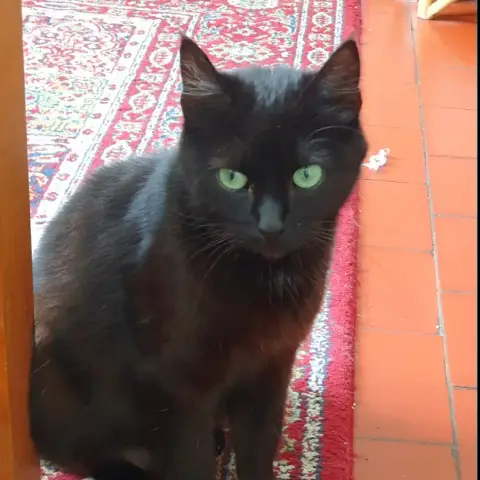 Gloria