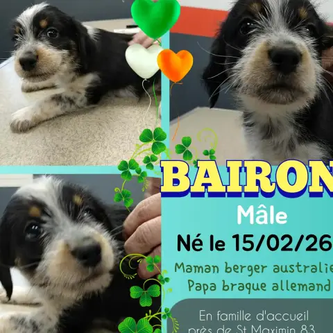 Bairon