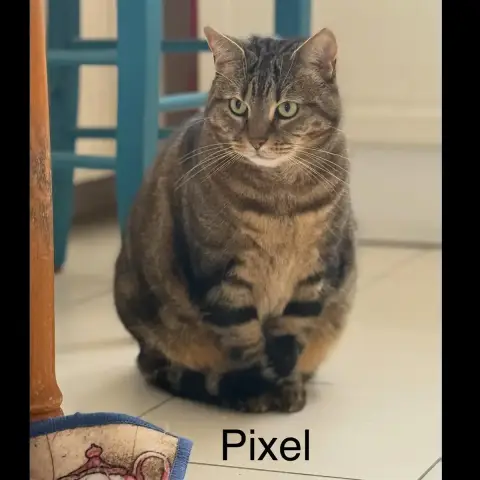 Pixel