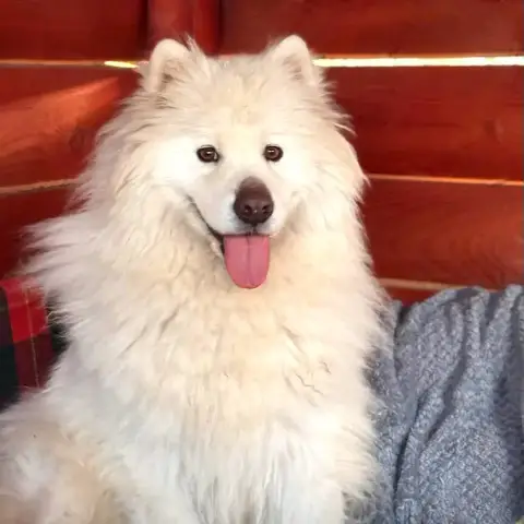 Athos