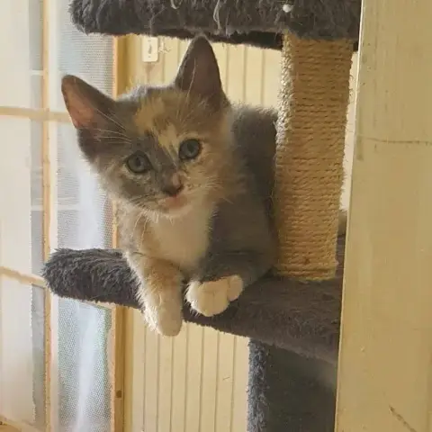 Lucy