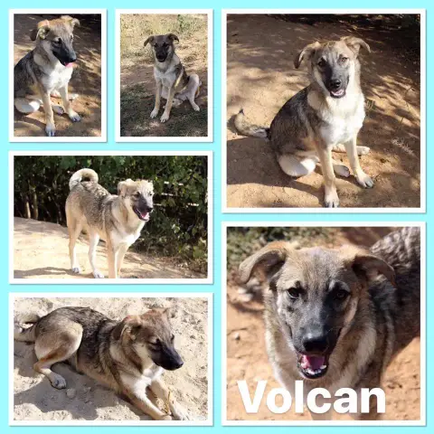 Volcan