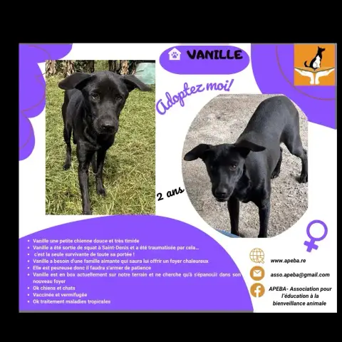 Vanille