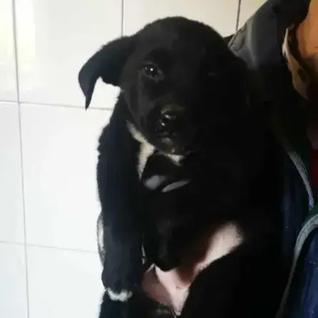 Ellie photo 2