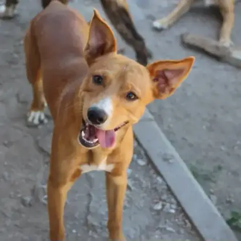 Charlie