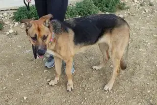 Luna photo 3