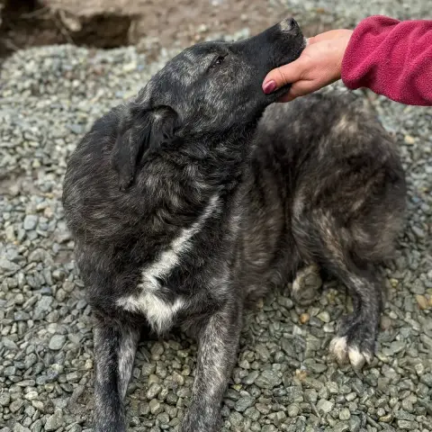 Inaya photo 2