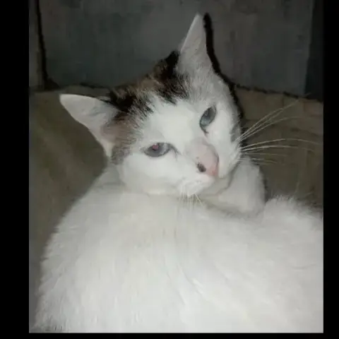 Sophie