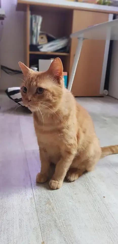 Roucky