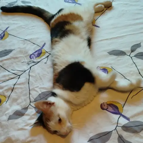 Princesse photo 2