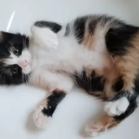 Billie