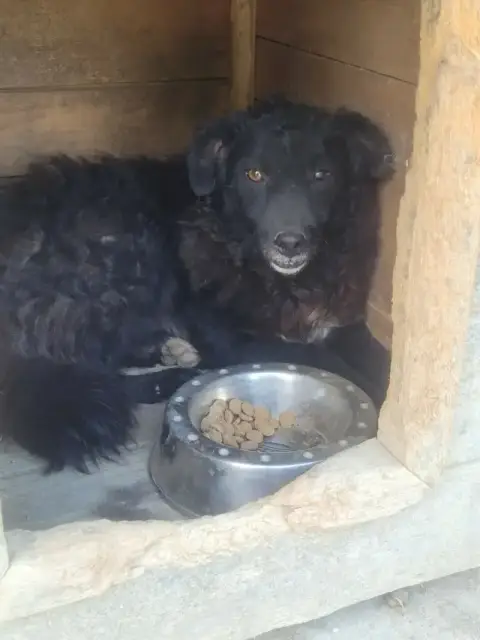 Mura photo 2