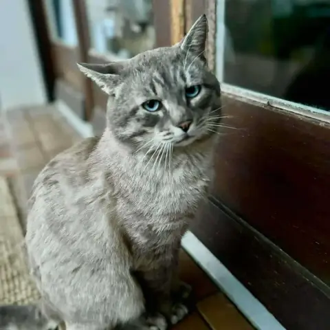 Molky photo 3