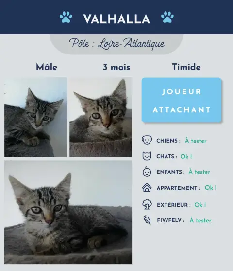 Valhalla