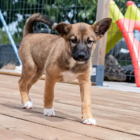 Bella photo 2