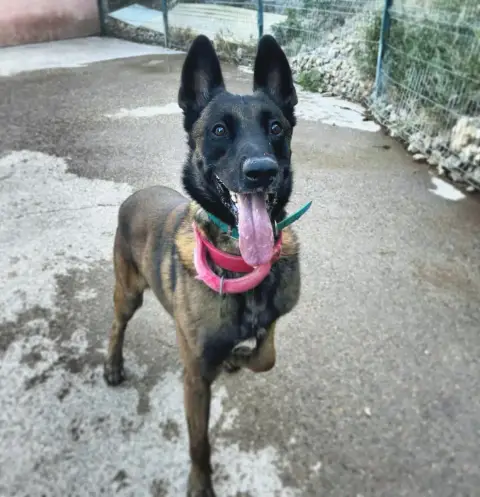 Zeus