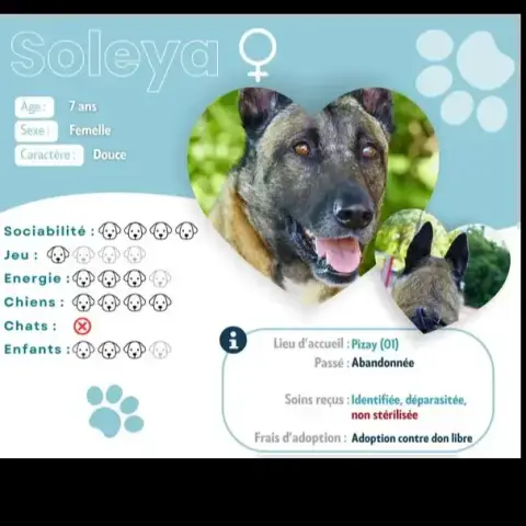 Soleya