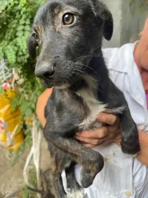 Zora photo 3
