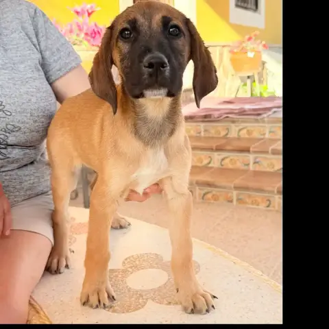 Leo(Martina)